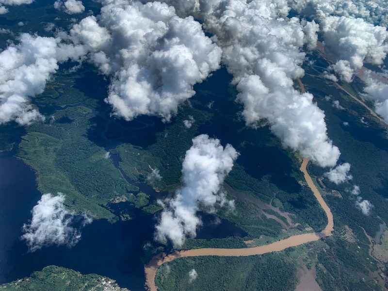 Schicksal der Amazonaswälder und ihrer Bewohner